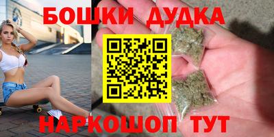 бошки Дубна