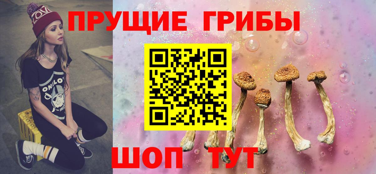 Галлюциногенные грибы Psilocybine cubensis  Вход с VPN  Карталы  Галлюциногенные грибы Cubensis 